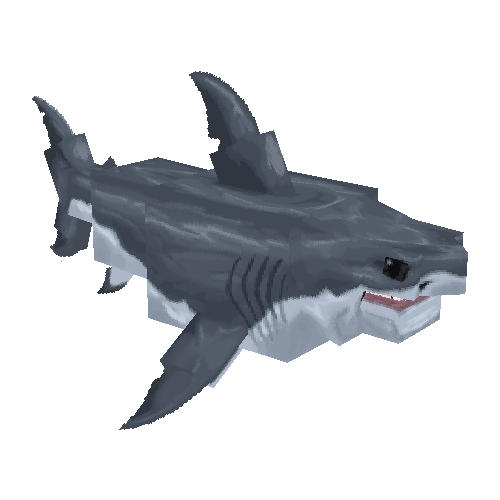 Shark Animation