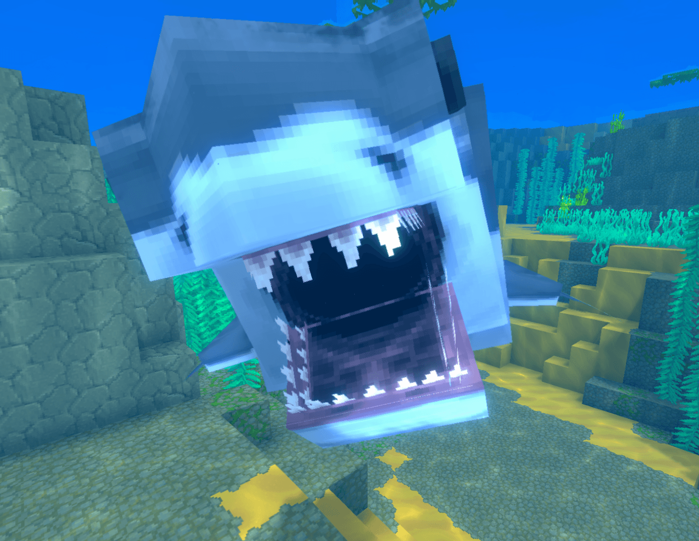 Underwater Encounter