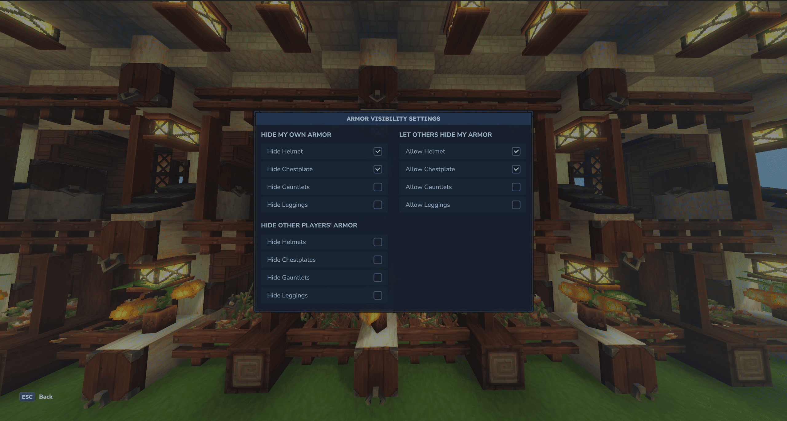 Hide Armor GUI Interface