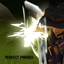 Perfect Parries